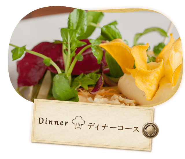 Dinner　ディナーコース